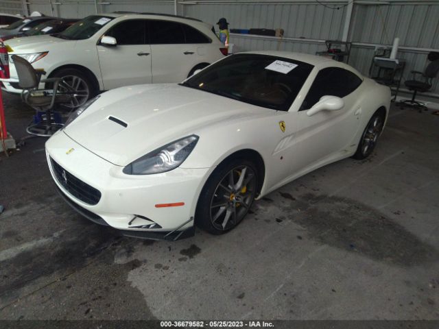 Global Auto Auctions