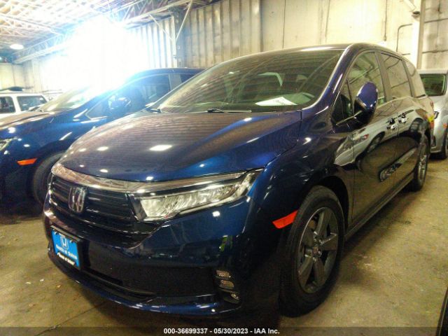 Global Auto Auctions