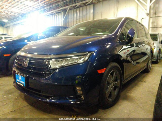 Global Auto Auctions