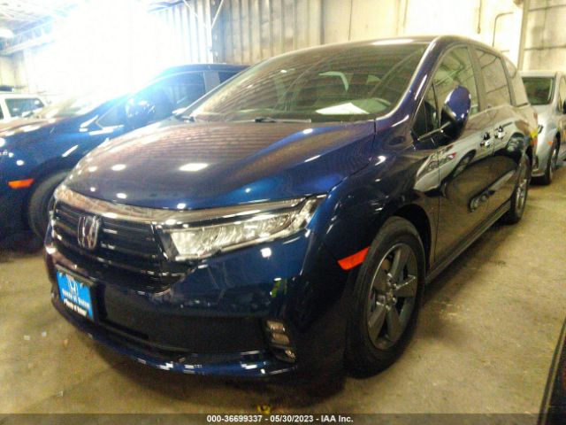 Global Auto Auctions