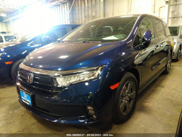 Global Auto Auctions