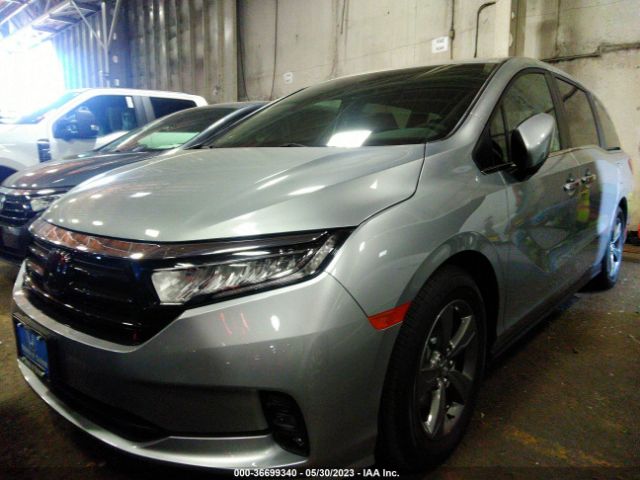 Global Auto Auctions