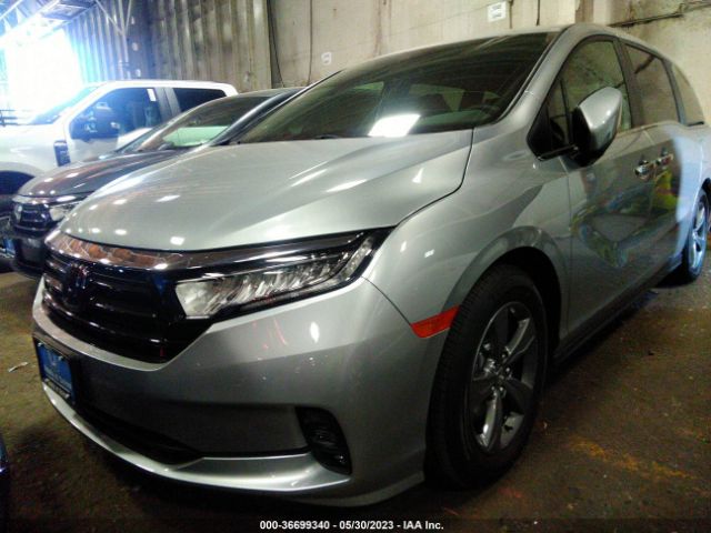 Global Auto Auctions