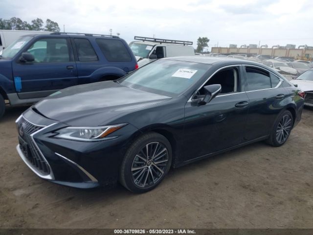 Global Auto Auctions