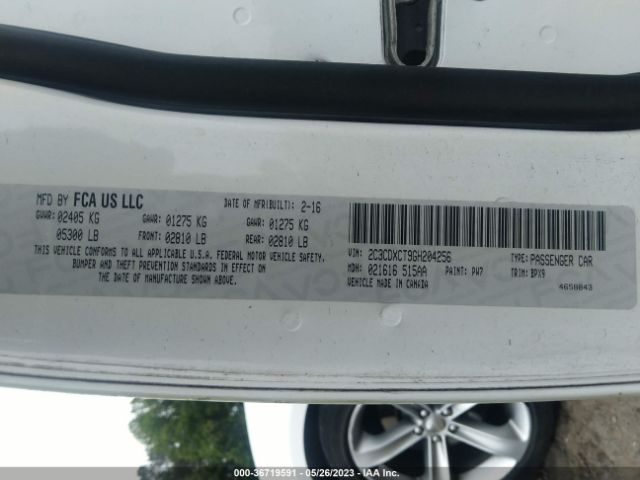 Global Auto Auctions