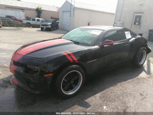 Global Auto Auctions