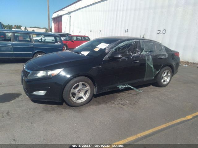 Global Auto Auctions