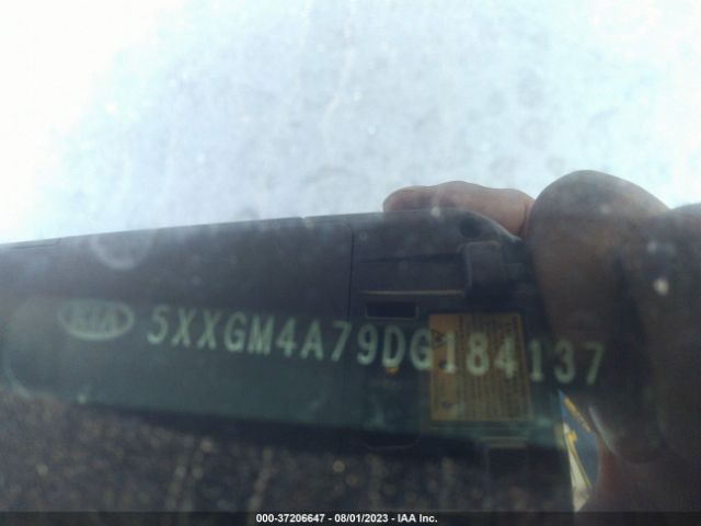 Global Auto Auctions