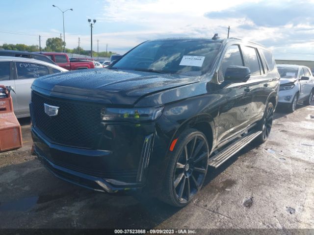 Global Auto Auctions