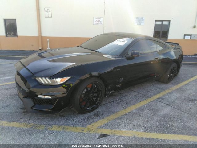 Global Auto Auctions