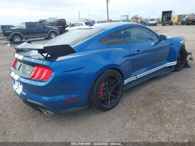 Global Auto Auctions