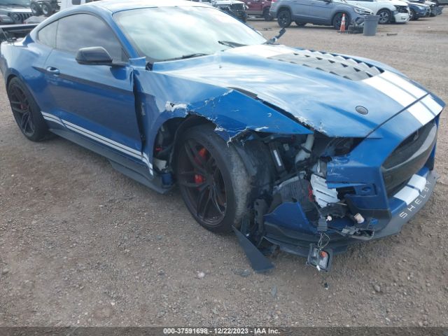 Global Auto Auctions