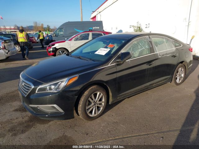 Global Auto Auctions