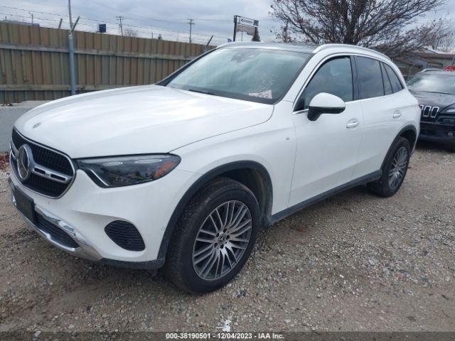 Global Auto Auctions