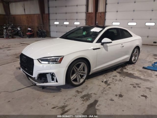 Global Auto Auctions