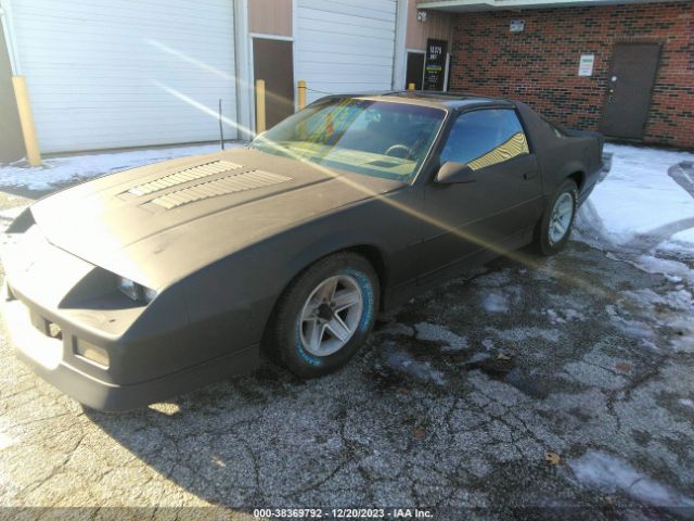 Global Auto Auctions