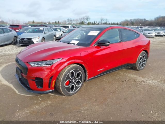 Global Auto Auctions