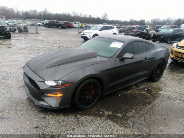 Global Auto Auctions