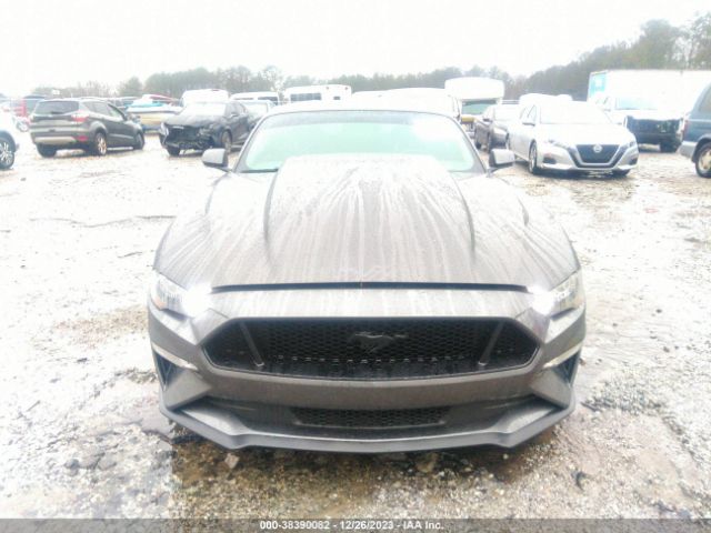 Global Auto Auctions