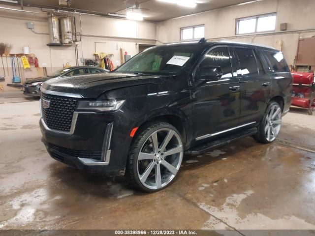 Global Auto Auctions