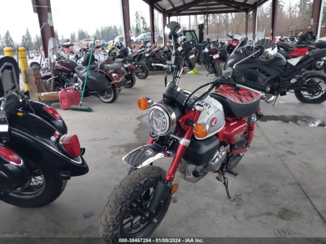 Global Auto Auctions