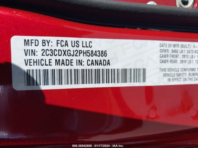 Global Auto Auctions