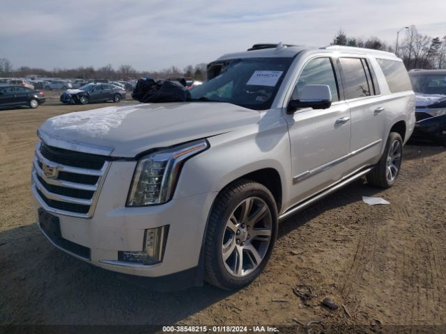 Global Auto Auctions