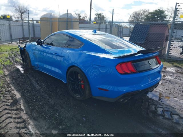 Global Auto Auctions