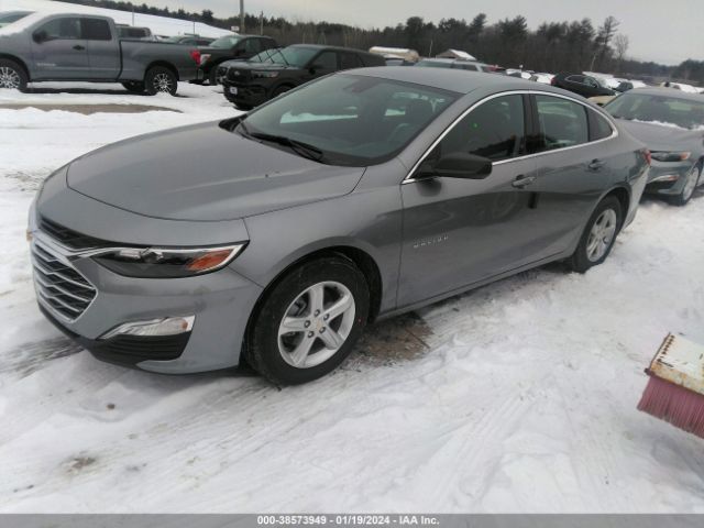 Global Auto Auctions