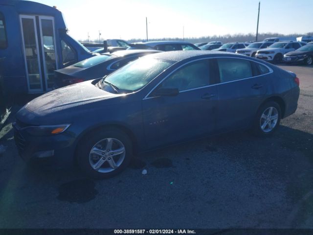 Global Auto Auctions