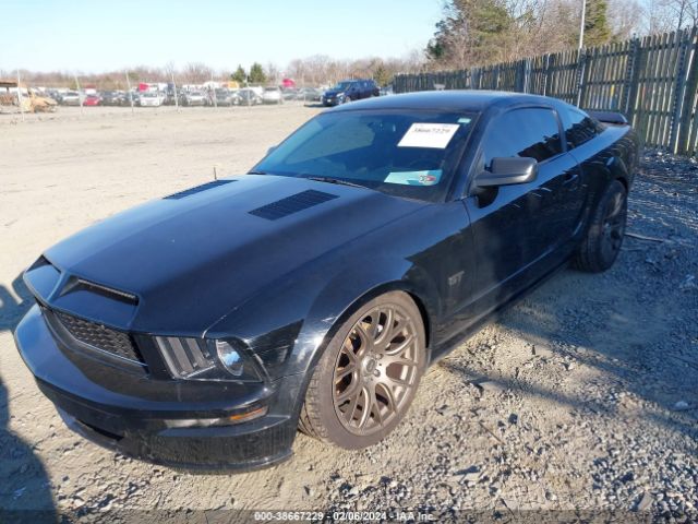 Global Auto Auctions