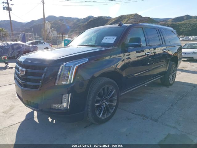 Global Auto Auctions