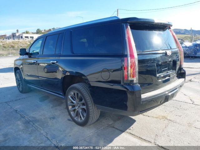 Global Auto Auctions