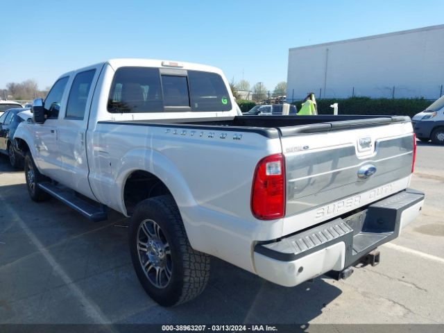 Global Auto Auctions