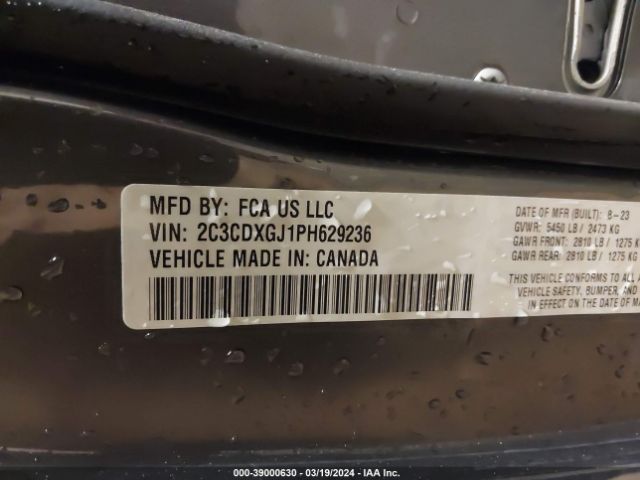 Global Auto Auctions