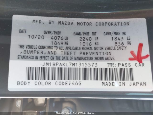 Global Auto Auctions