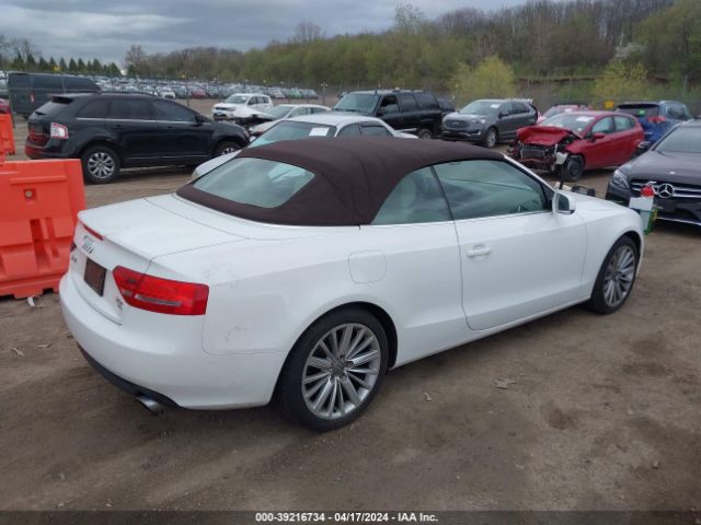 Global Auto Auctions