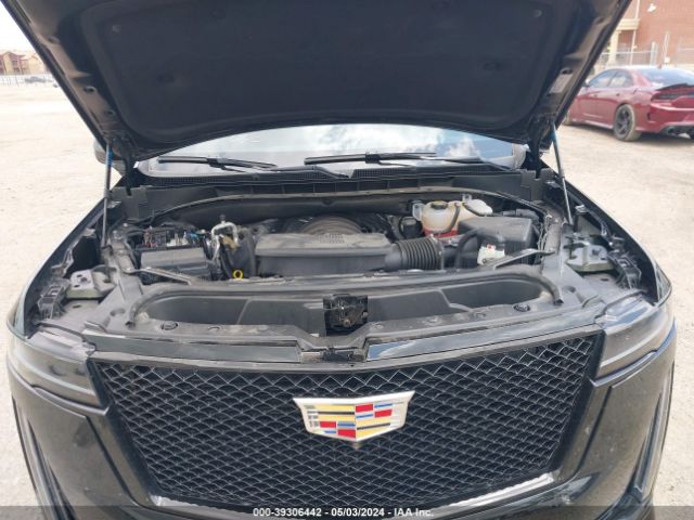 Global Auto Auctions