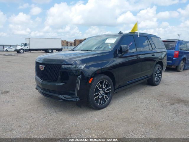 Global Auto Auctions