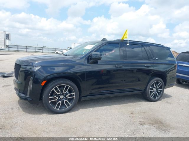 Global Auto Auctions