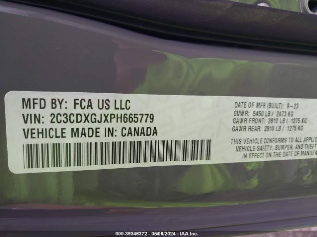 Global Auto Auctions