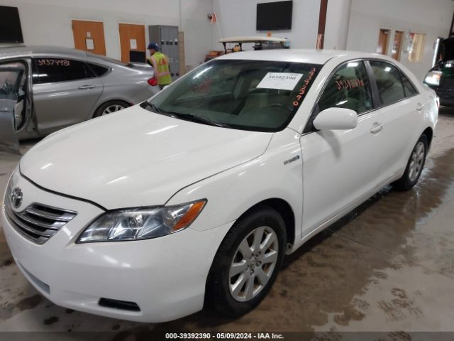 Global Auto Auctions