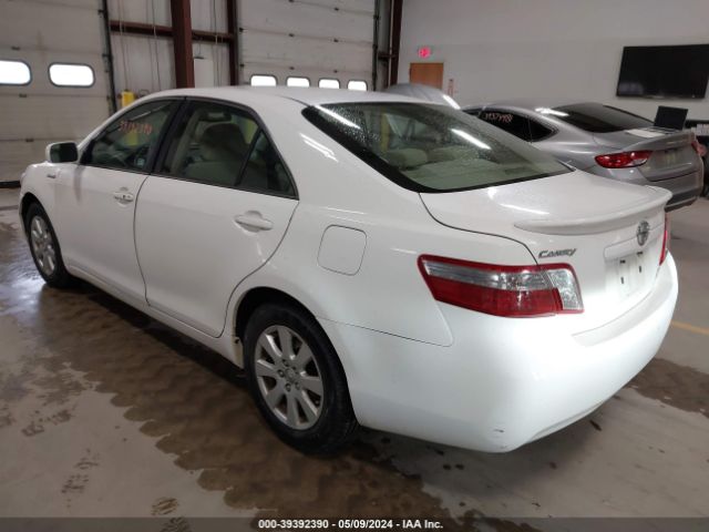 Global Auto Auctions