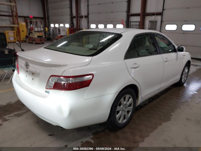 Global Auto Auctions