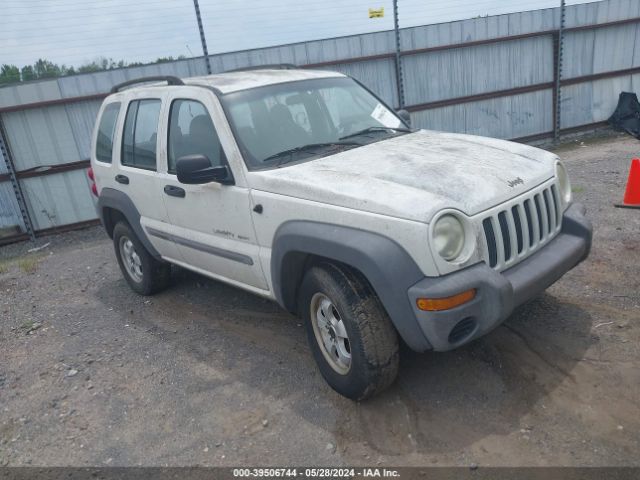 【期間限定！最安値挑戦】 2002 JEEP LIBERTY Sport Utility | 1J4GK48K52W188708 ルアー・フライ