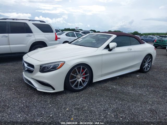 Global Auto Auctions