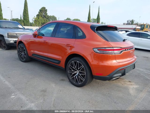 Global Auto Auctions