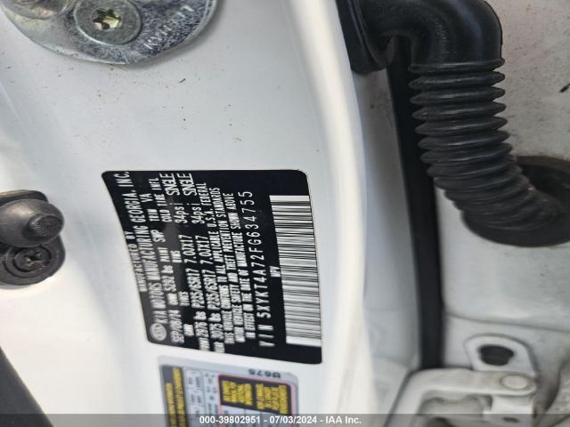 Global Auto Auctions