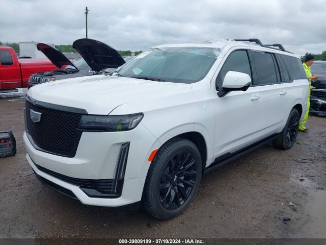 Global Auto Auctions