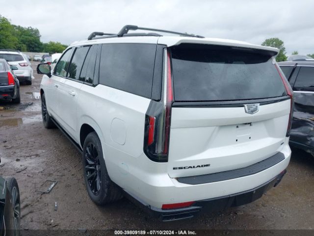 Global Auto Auctions